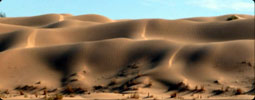 Dunes du dsert Tunisien