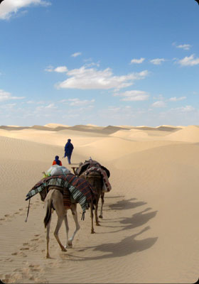 Marche dans le dsert tunsien